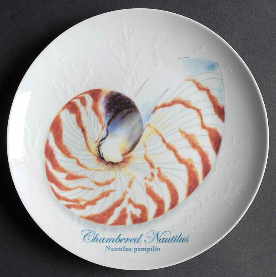 Captiva Salad Plate by Florida Marketplace-1