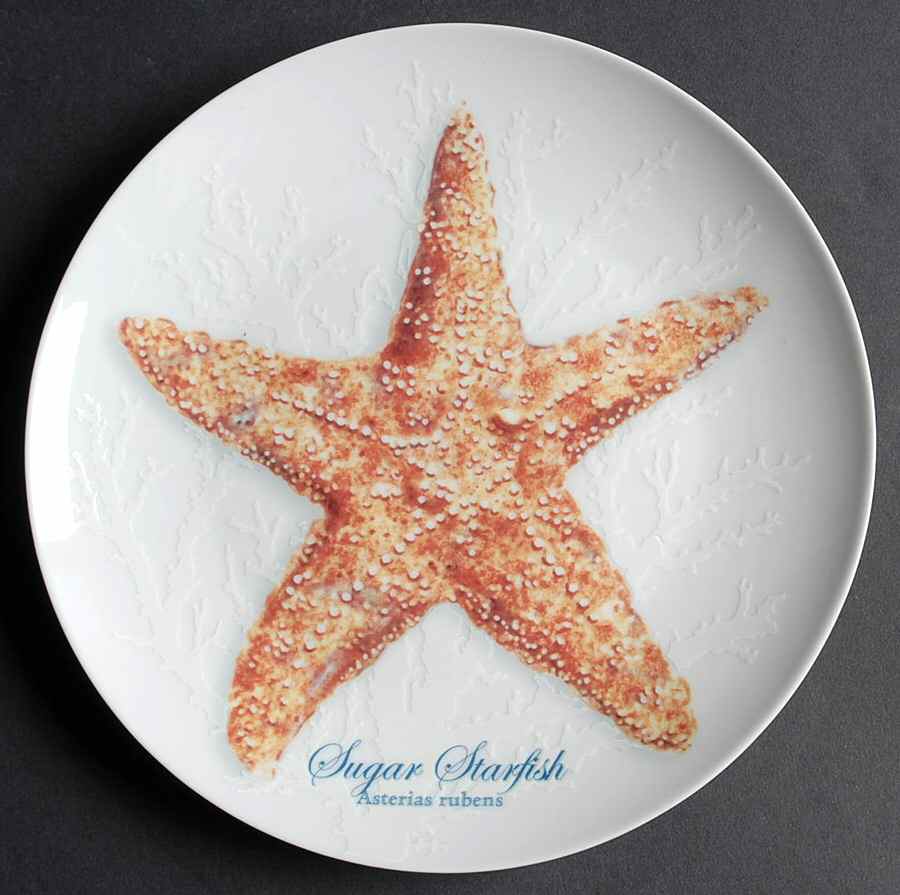 Captiva Salad Plate by Florida Marketplace-1