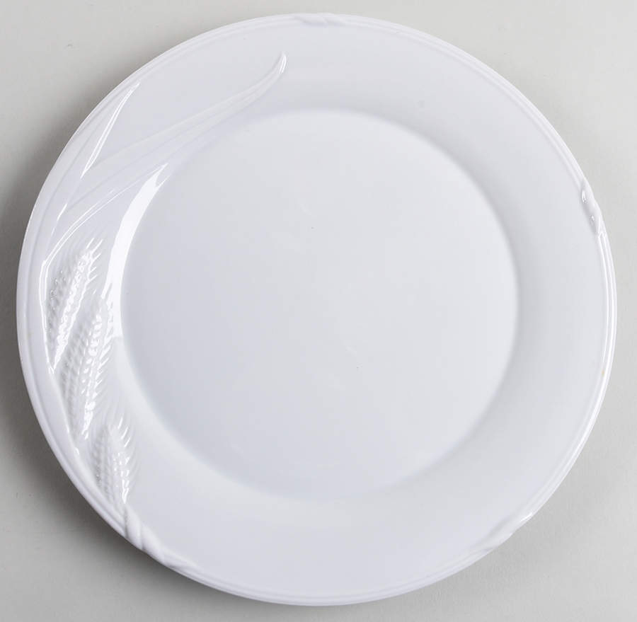 FEE1 Dinner Plate by Fresh Fields-1