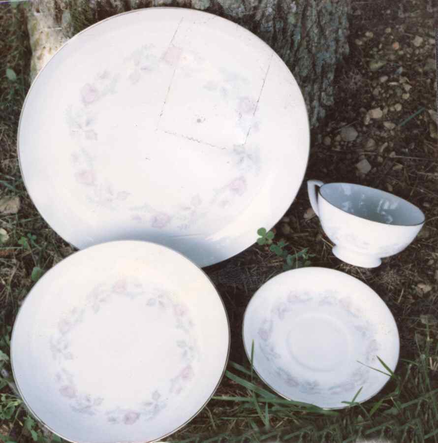 Gaby Dinner Plate by Fine China of Japan-1