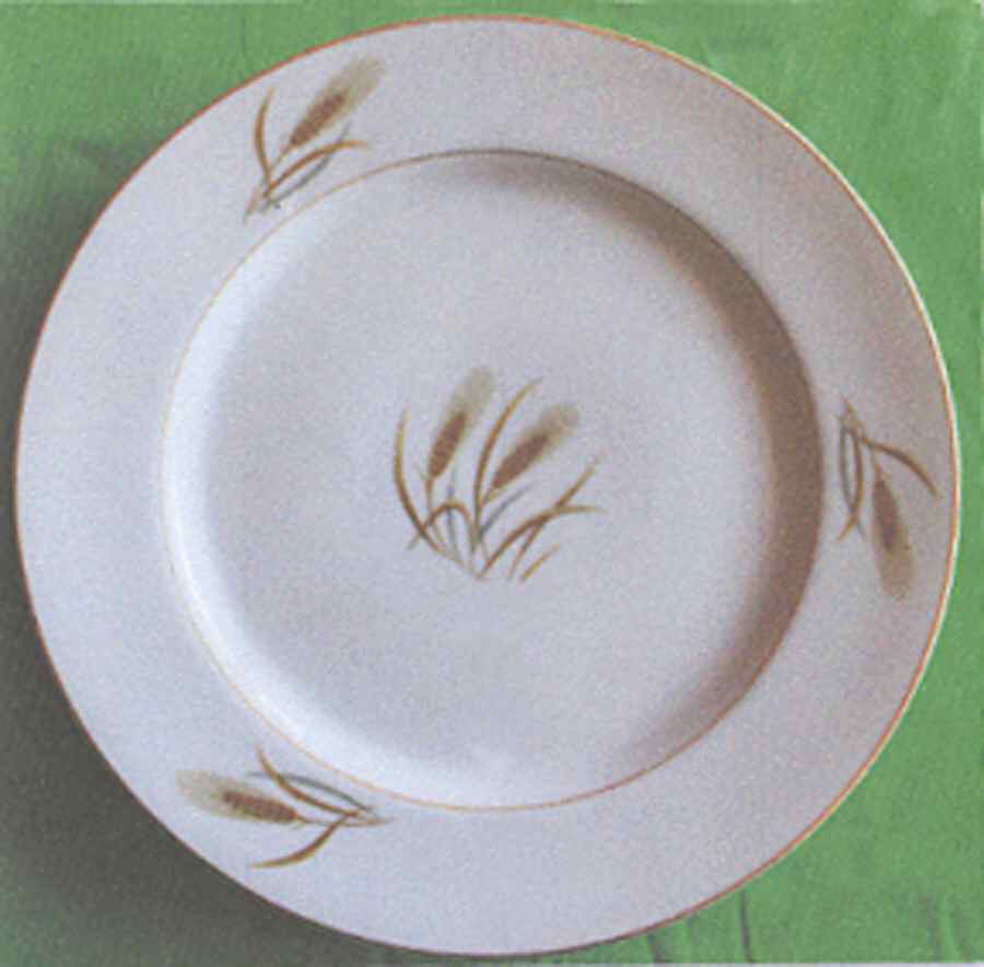 FUJ29 Dinner Plate by Fuji-1