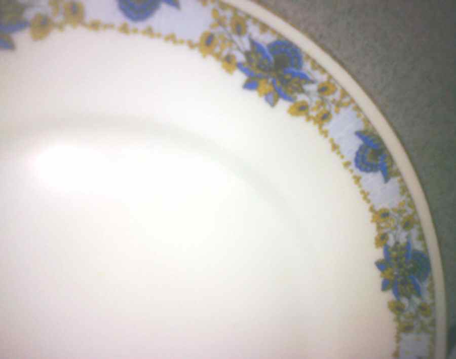 Gsf3 Dinner Plate by Gaston Sailly-1