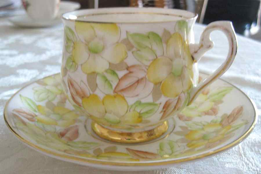 240 Footed Cup & Saucer Set by Thomas Forester & Sons-1
