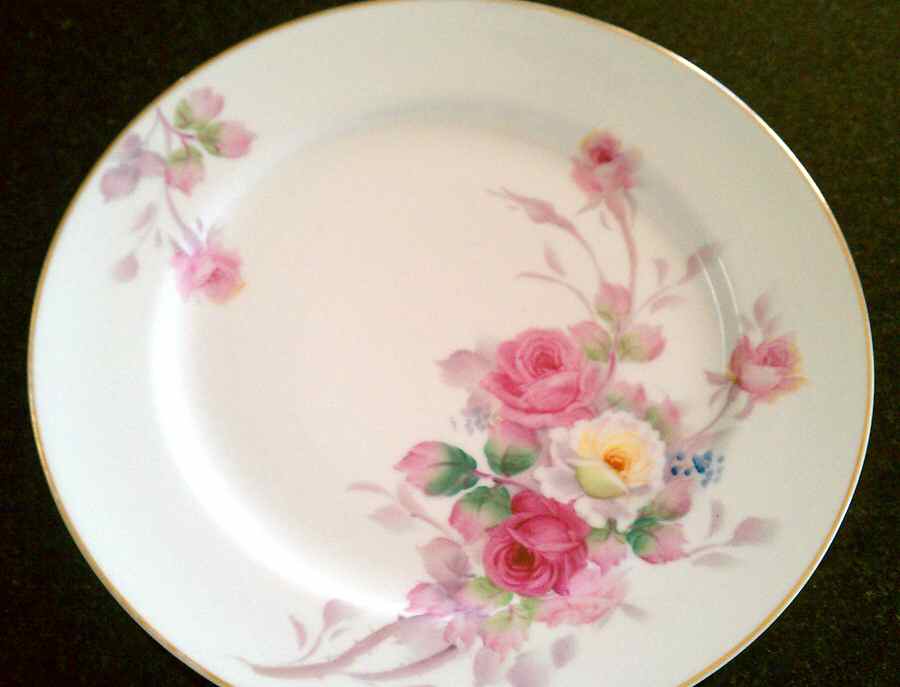 FUJ30 Dinner Plate by Fuji-1