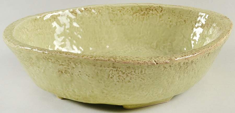 Casa Mia Celery (Green) 10" Oval Vegetable Bowl by Fortunata-1
