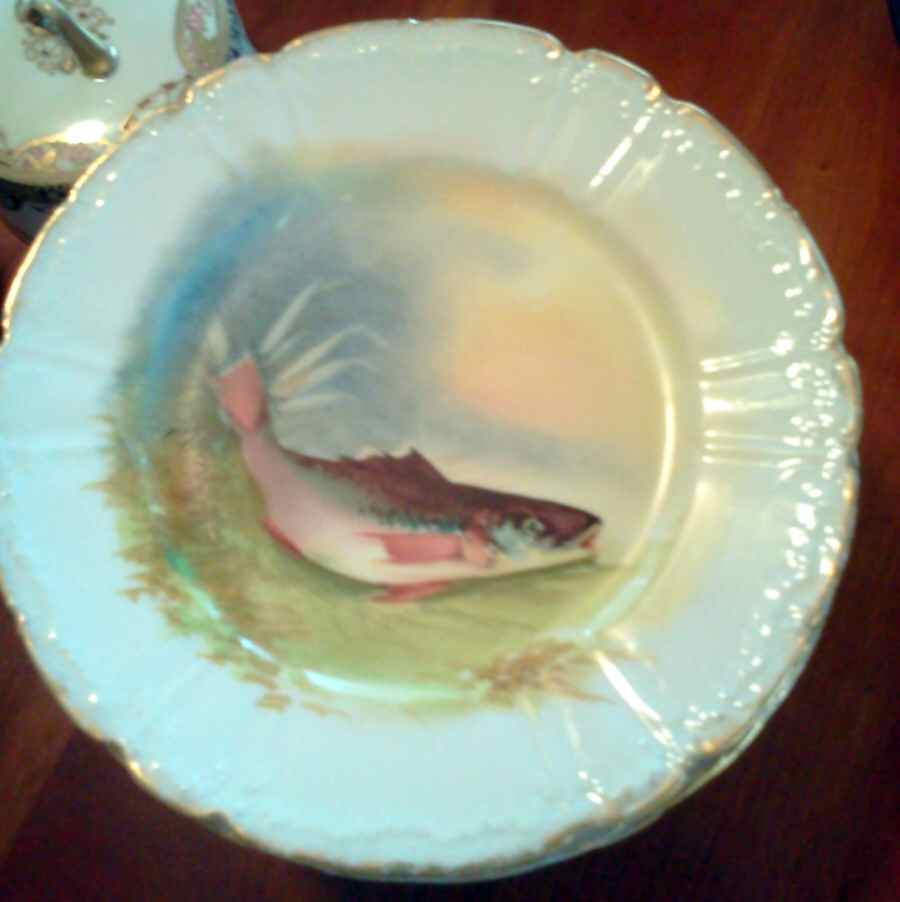 FMB30 Dinner Plate by Flambeau-1