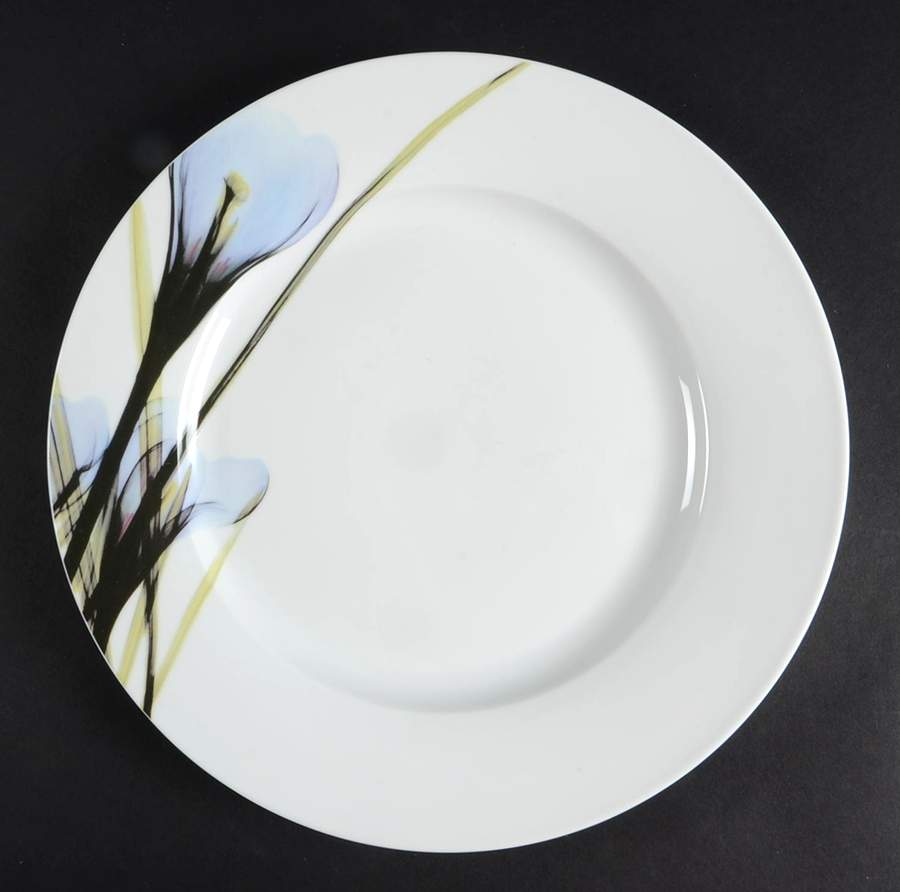 Crocus Dinner Plate by Fitz and Floyd-1