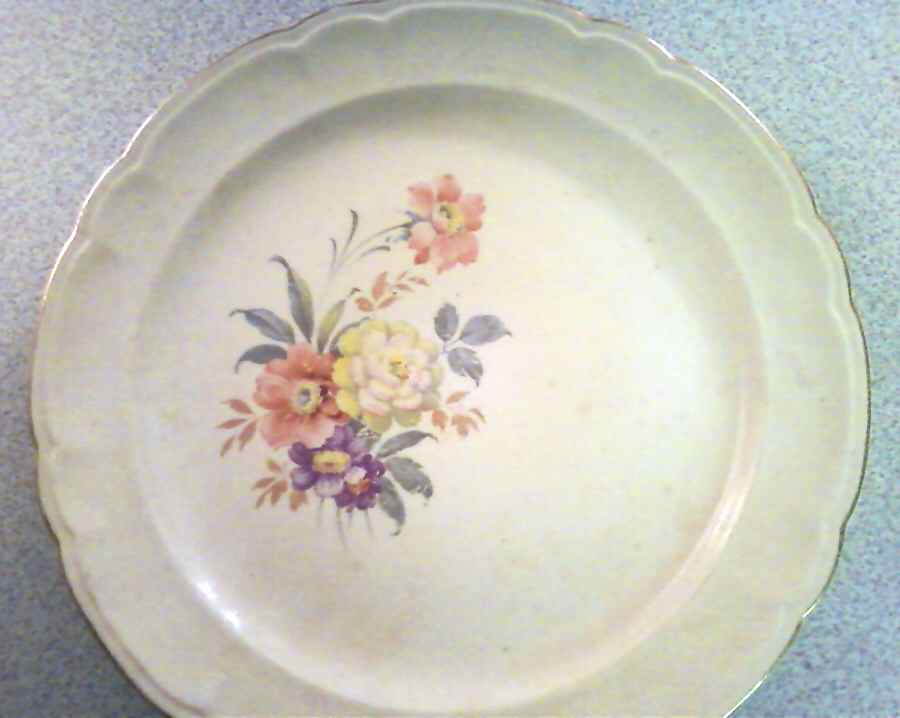 FSX180 Dinner Plate by French Saxon-1