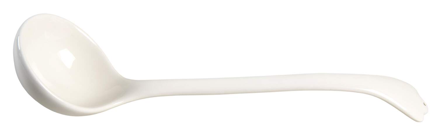 Winter White Holiday Tureen Ladle by Fitz & Floyd-1