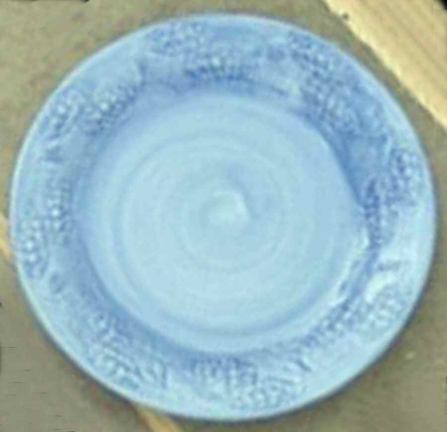 Pinecone Blue Dinner Plate by Fioriware-1