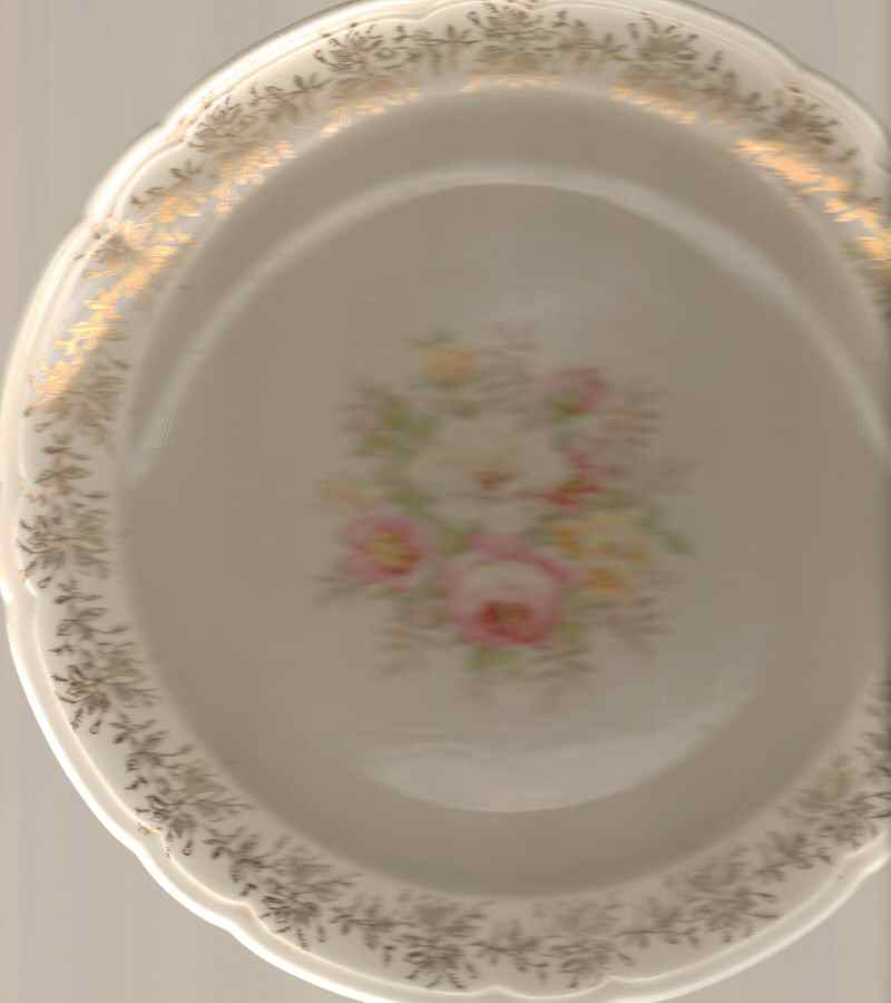 FSX182 Dinner Plate by French Saxon-1