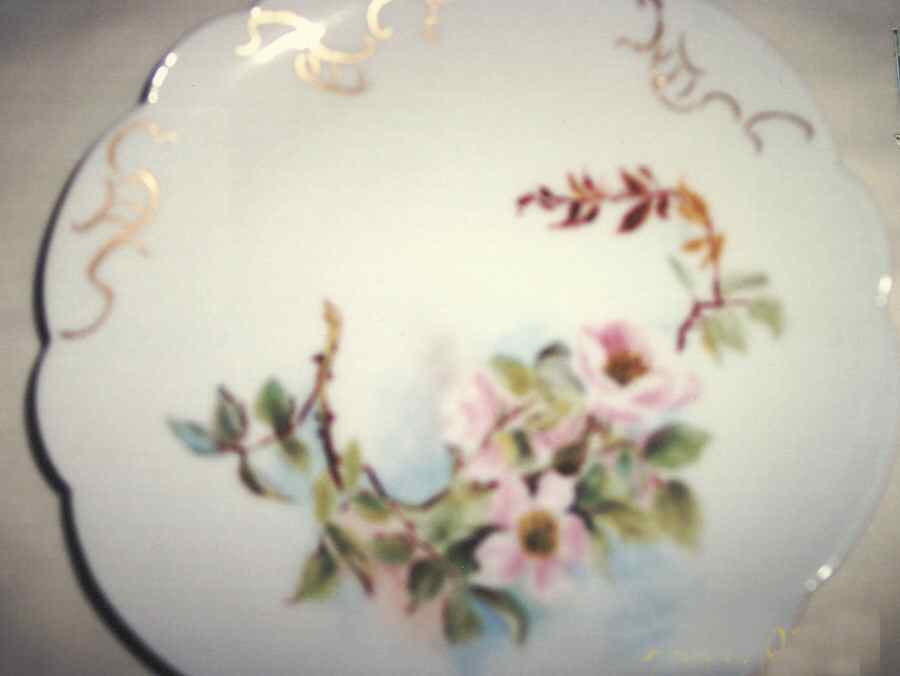 FAN112 Salad Plate by France-1