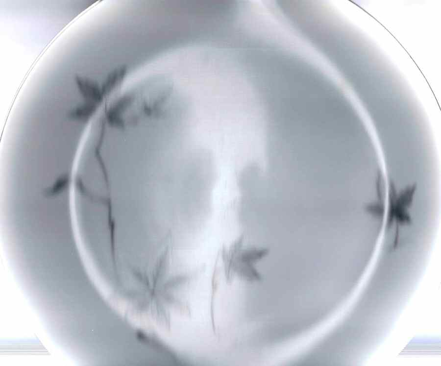 Leaf Dance Dinner Plate by Four Crown-1