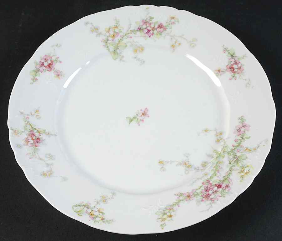 FXL5 Dinner Plate by French China - Limoges-1
