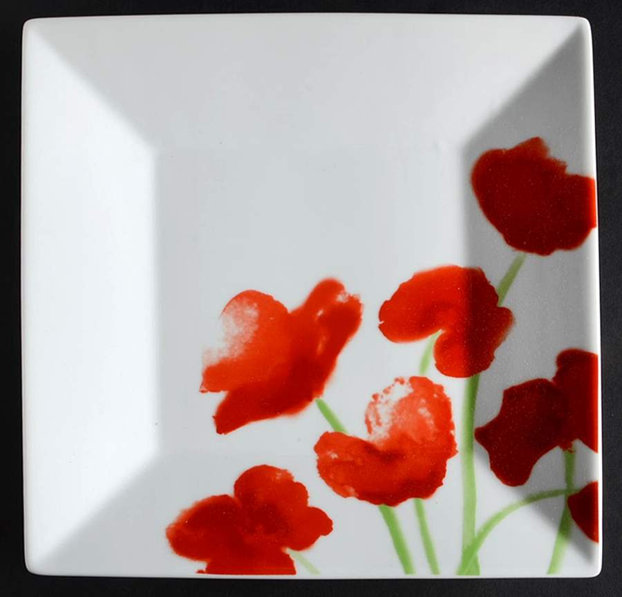 Poppy Salad Plate by Food Network-1