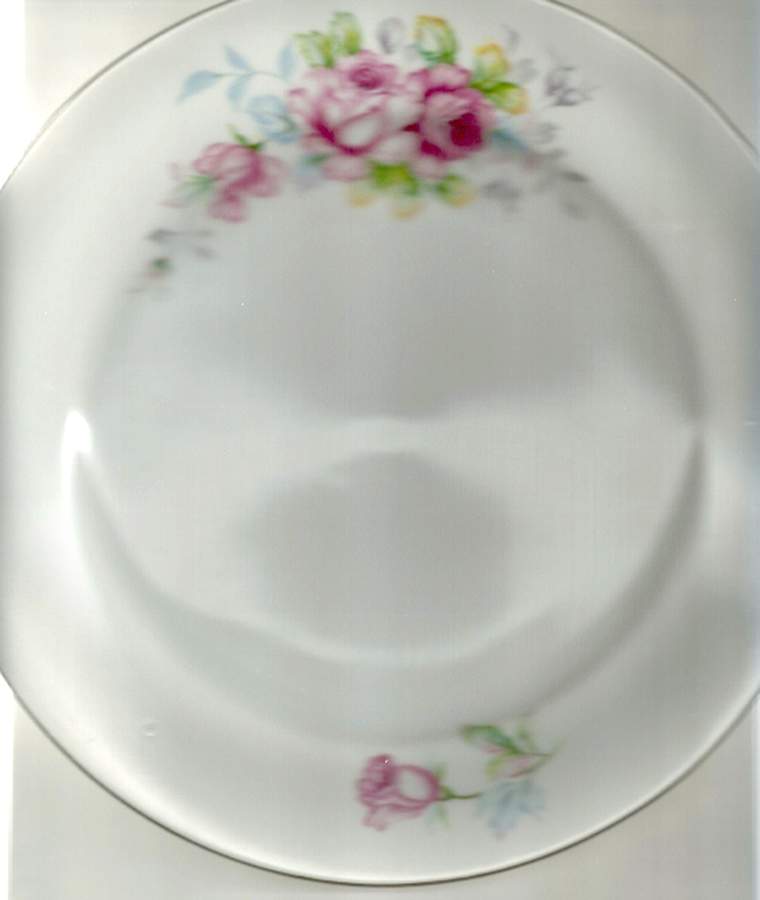 FUJ32 Dinner Plate by Fuji-1