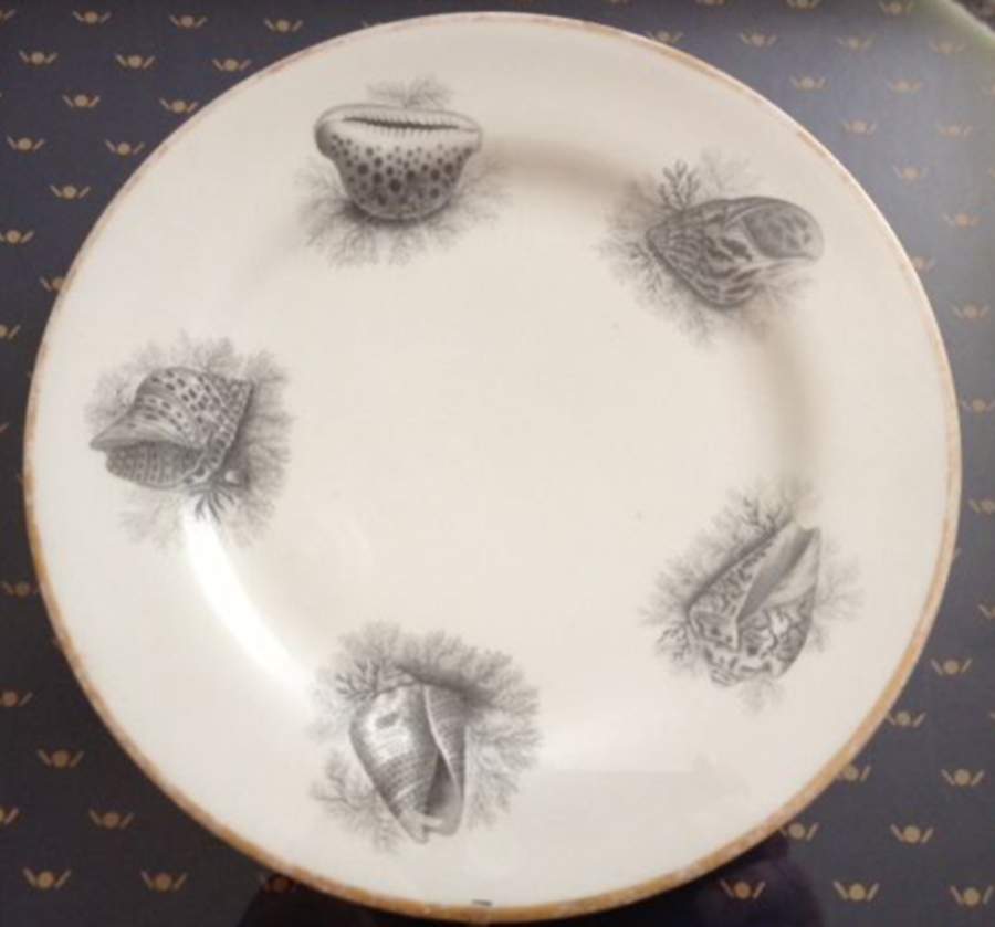 FBW2 Dinner Plate by Barr, Flight & Barr-1