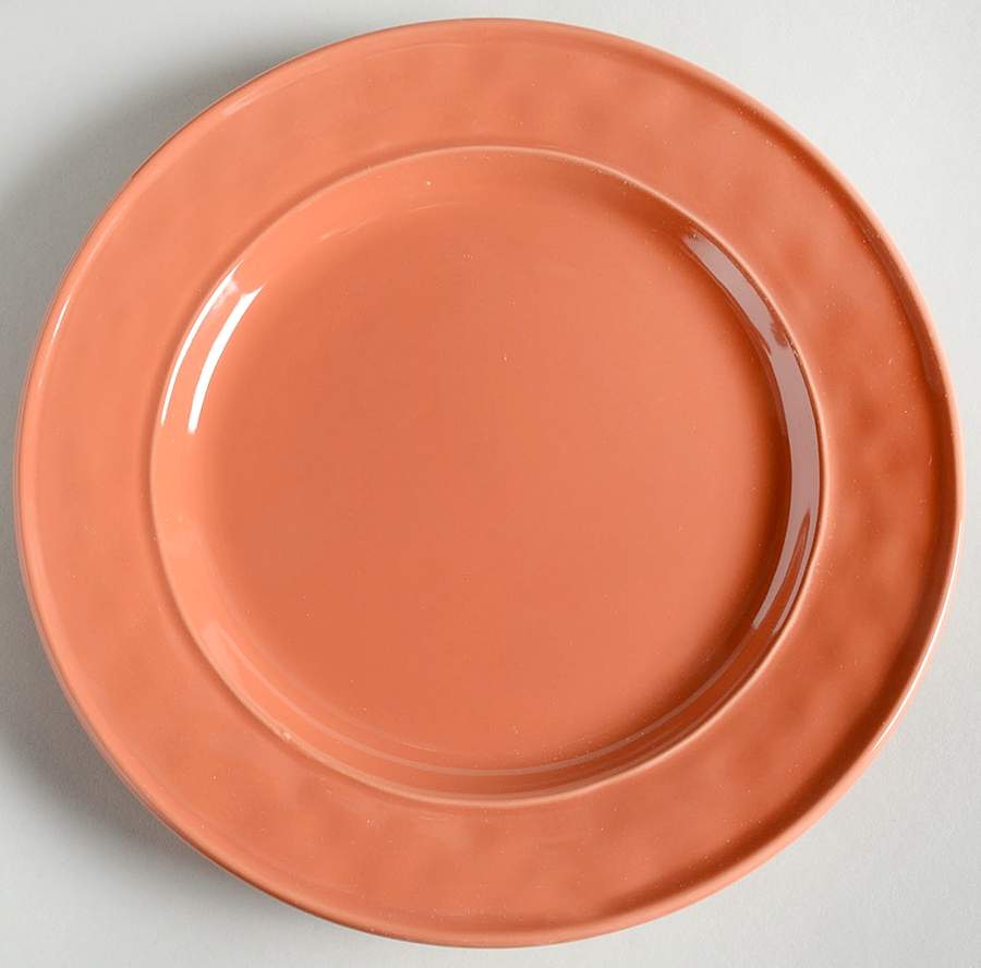 Fontina Coral Salad Plate by Food Network-1