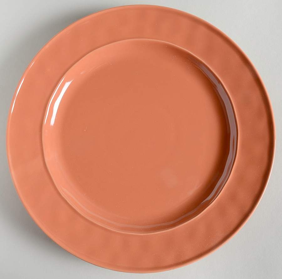 Fontina Coral Dinner Plate by Food Network-1