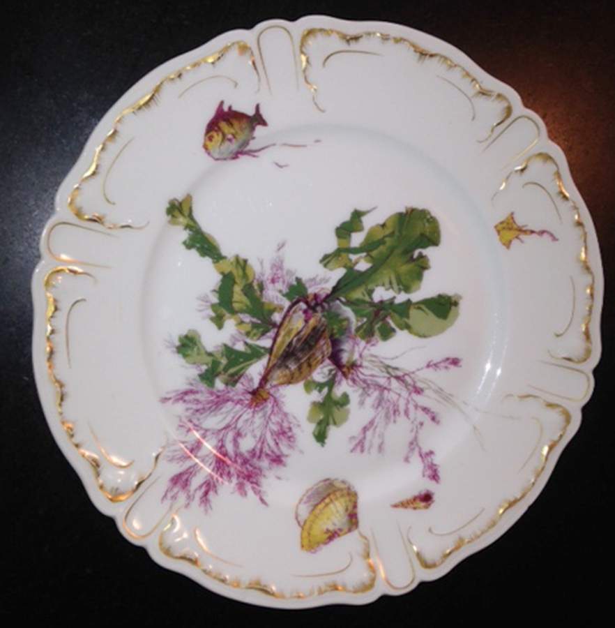 FRH24 Salad Plate by Frank Haviland-1