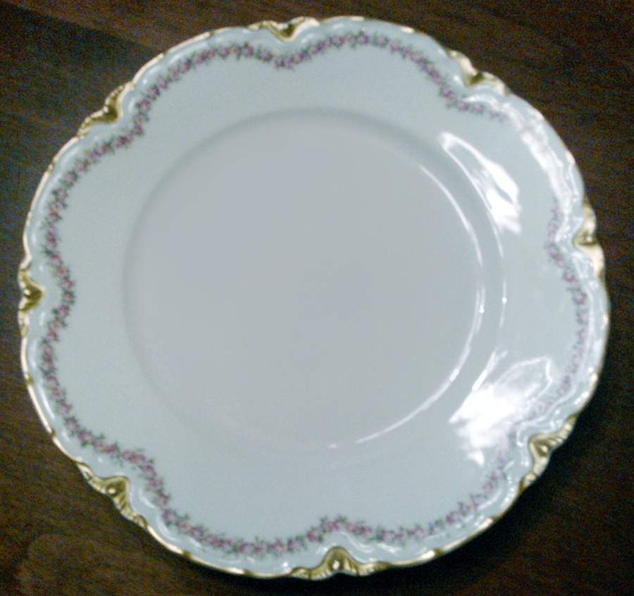 FRH25 Dinner Plate by Frank Haviland-1