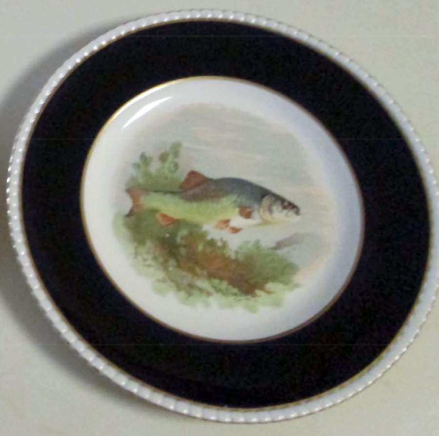 FON85 Cobalt Blue Dinner Plate by Fondeville-1