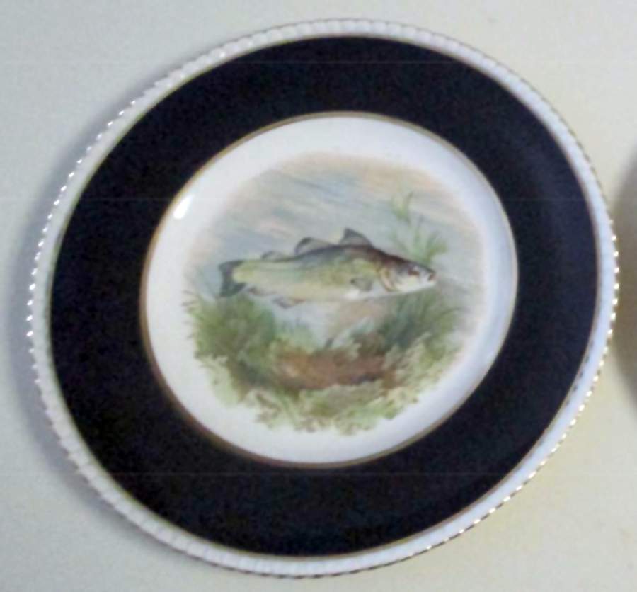 FON85 Cobalt Blue Dinner Plate by Fondeville-1
