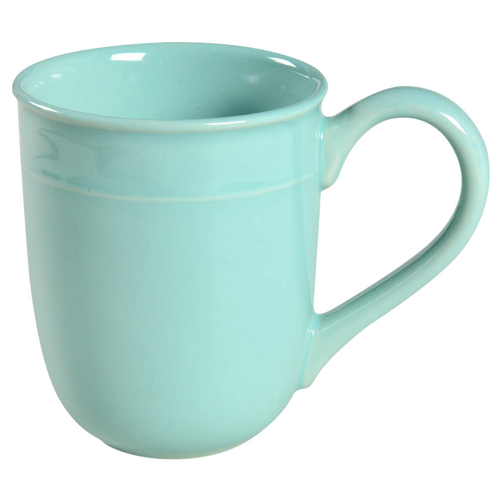Fontina Aqua Mug by Food Network-1
