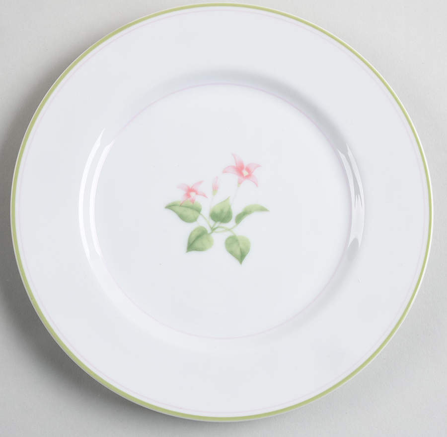 Fleurettes Salad Plate by Fitz & Floyd-1