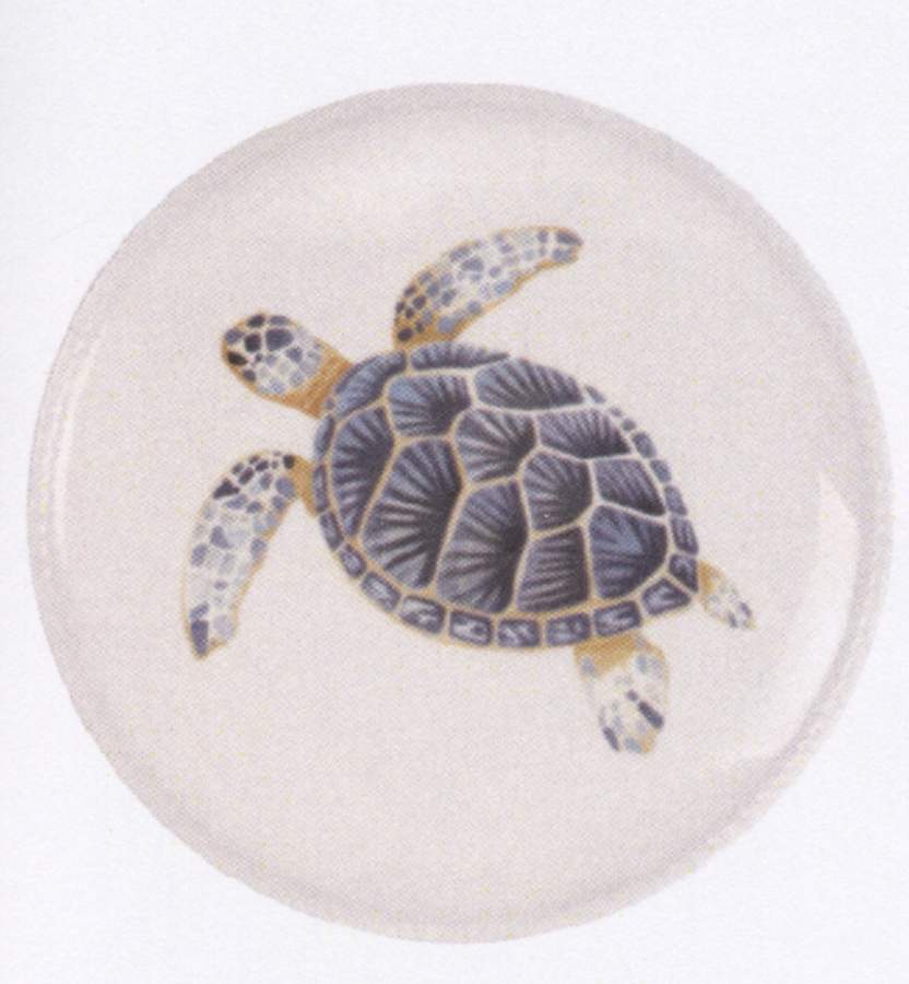 Cape Coral Accent Salad Plate by Fitz and Floyd-1
