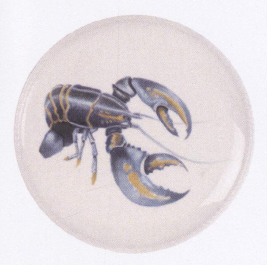 Cape Coral Accent Salad Plate by Fitz and Floyd-1