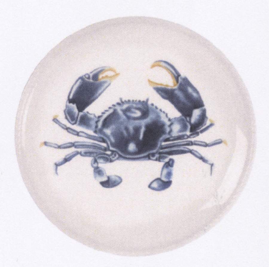 Cape Coral Accent Salad Plate by Fitz and Floyd-1