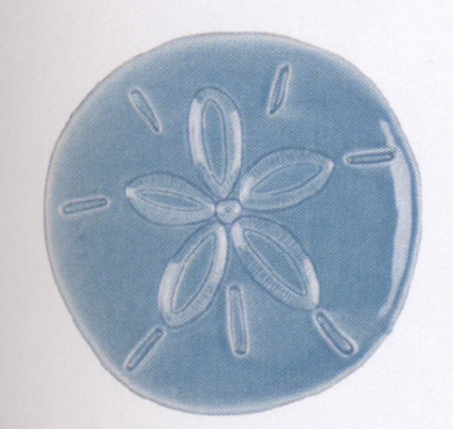 Cape Coral Figural Snack/Canape Plate by Fitz and Floyd-1