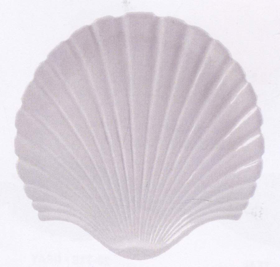 Cape Coral 13" Shell Shape Platter by Fitz and Floyd-1