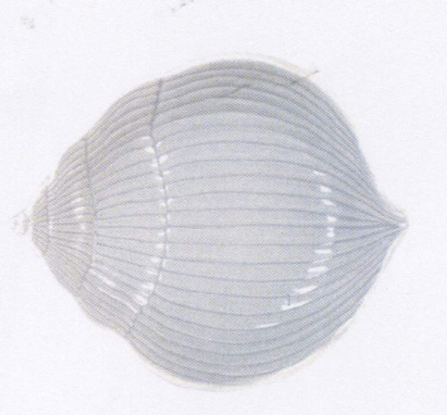 Cape Coral Figural All Purpose Bowl by Fitz and Floyd-1