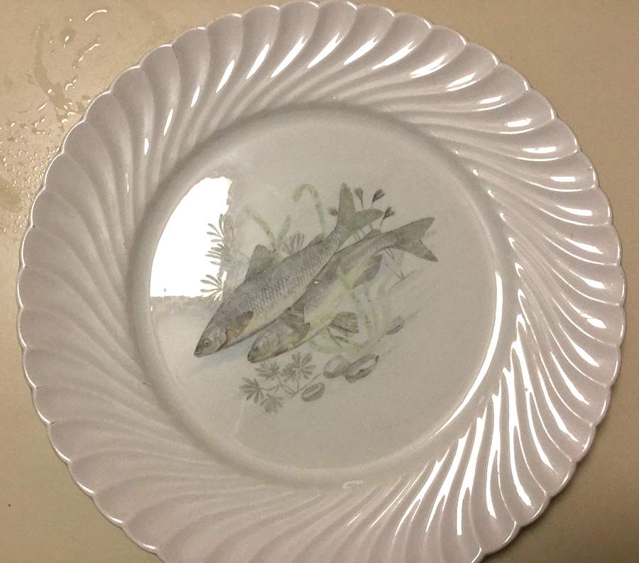 FAN139 Dinner Plate by France-1