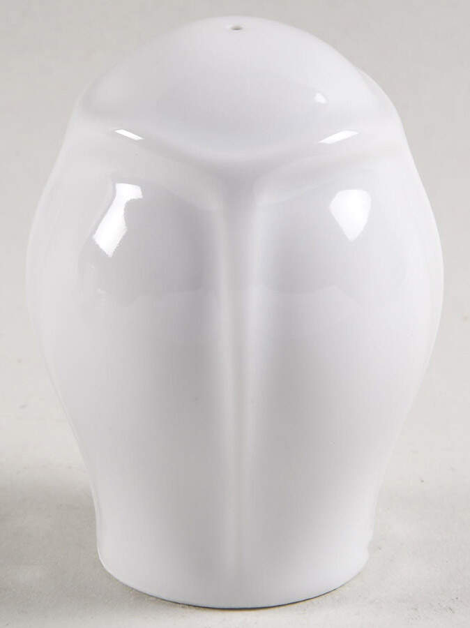 Maria Salt Shaker by The French Chefs-1