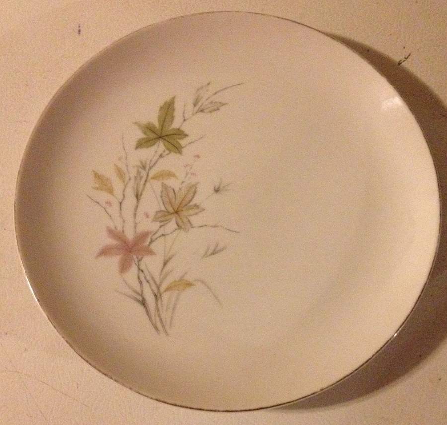 FCJ71 Dinner Plate by Fine China of Japan-1
