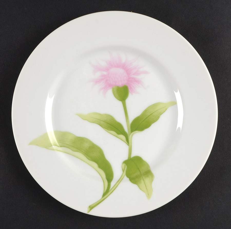 Fleurs Matinales Salad Plate by Fitz & Floyd-1