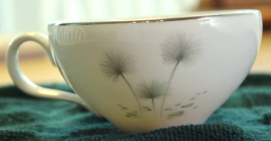 FCJ73 Flat Cup by Fine China of Japan-1