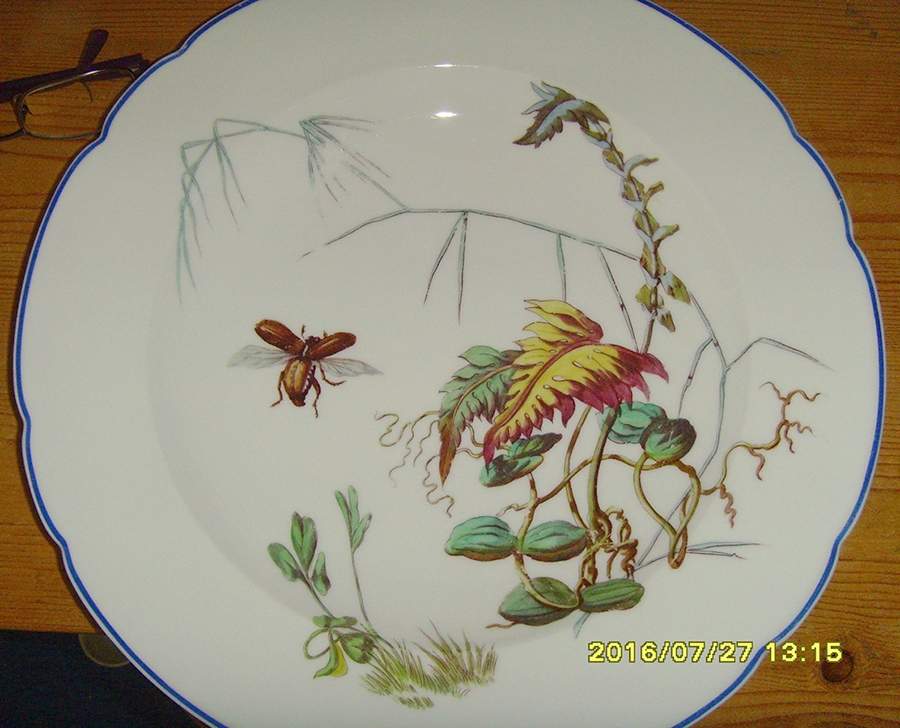 FIM11 Dinner Plate by Fischer & Mieg-1