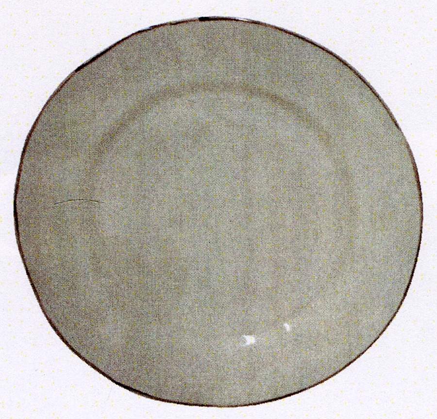 Meadow Dinner Plate by Fitz and Floyd-1