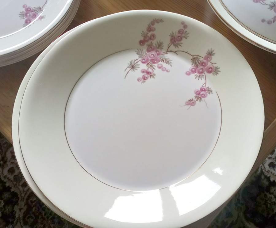 FIG41 Dinner Plate by Figgjo (Norway)-1