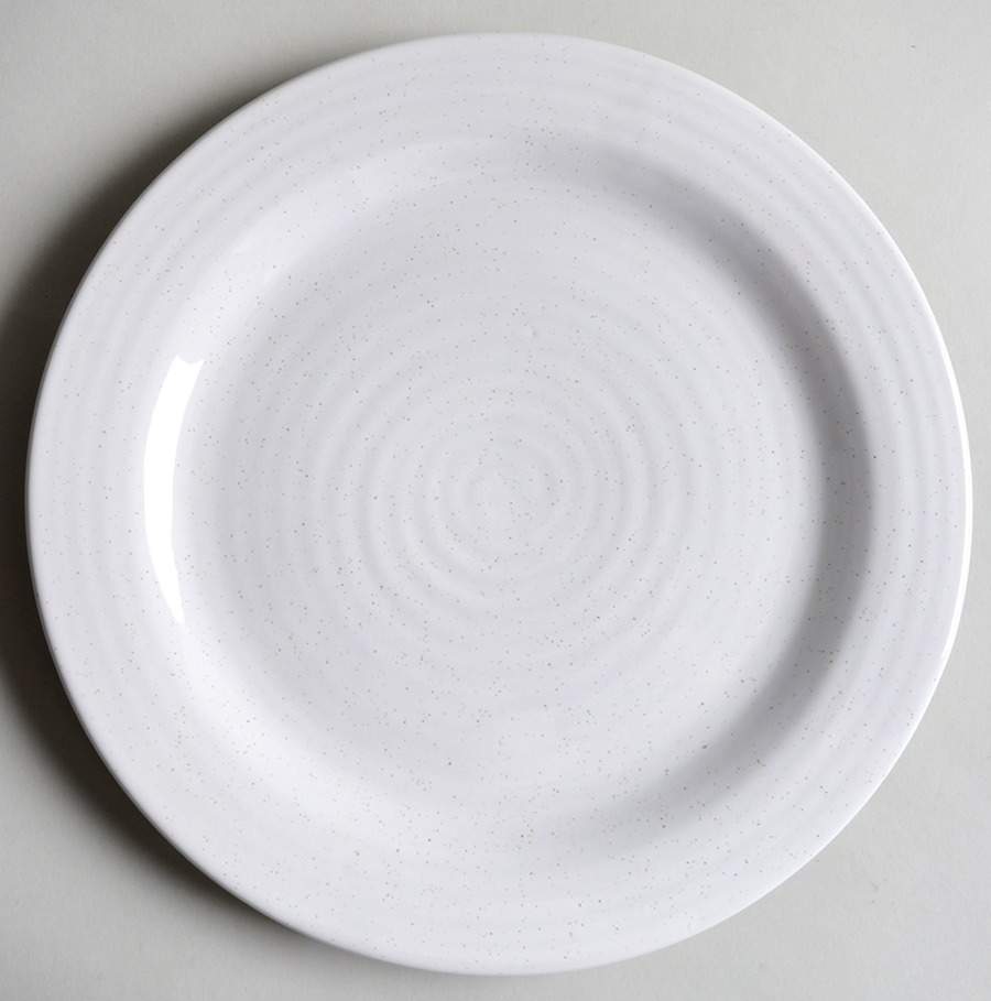 Farmstead White Dinner Plate by Food Network-1