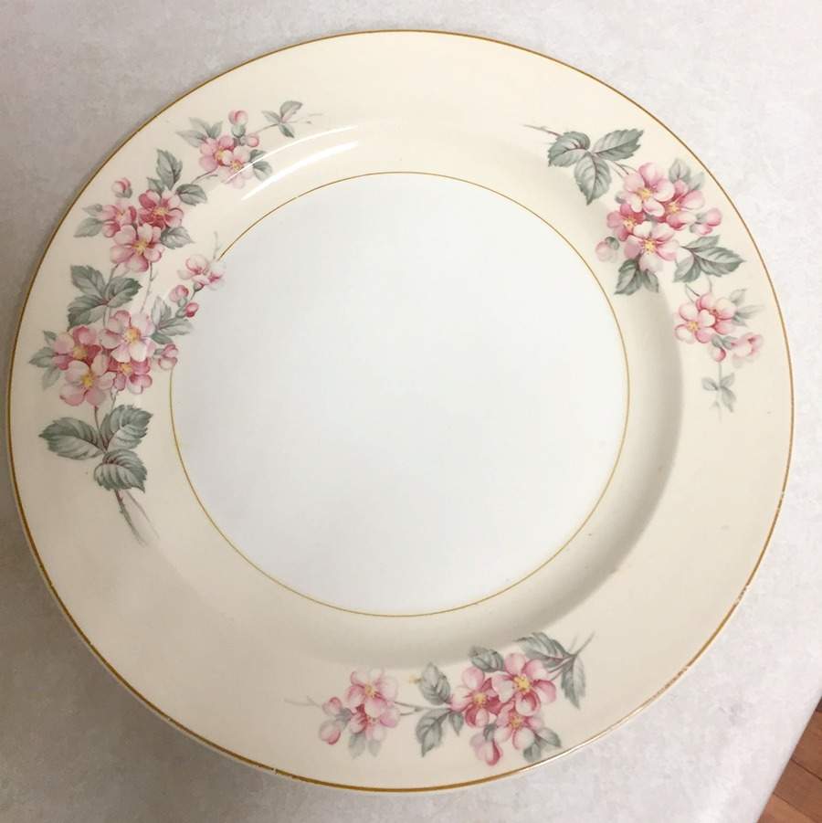 FSX205 Dinner Plate by French Saxon-1