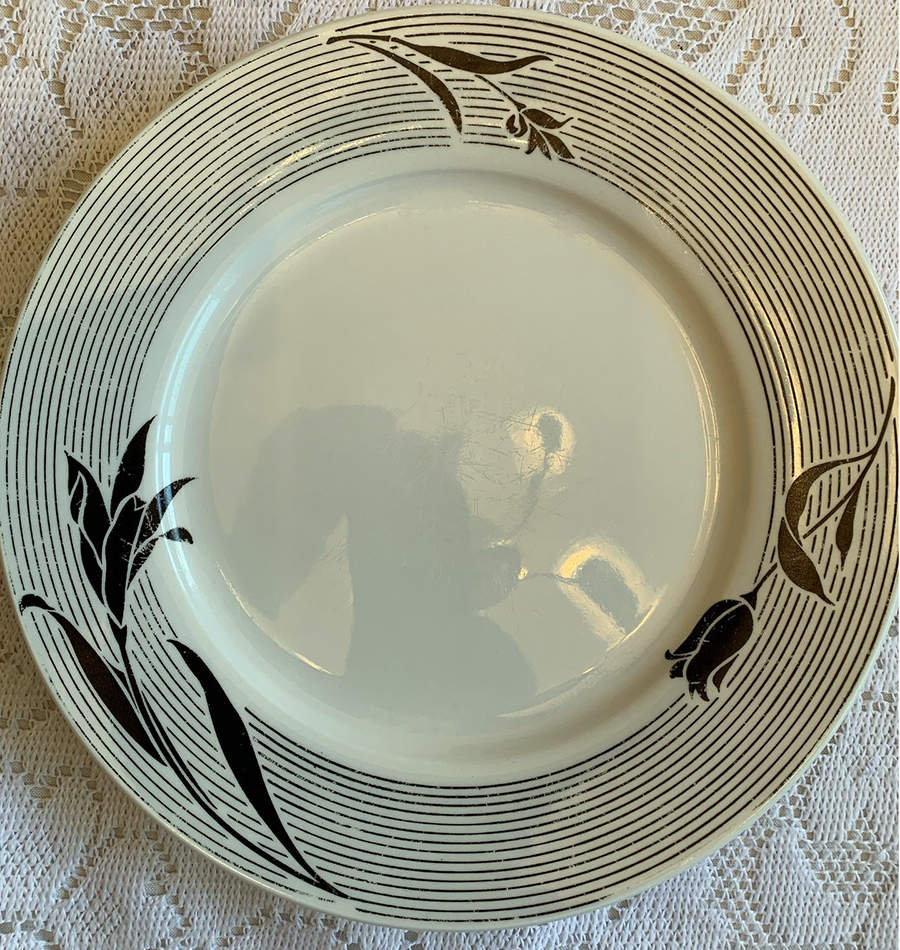 FCC206 Dinner Plate by Fine China of China-1