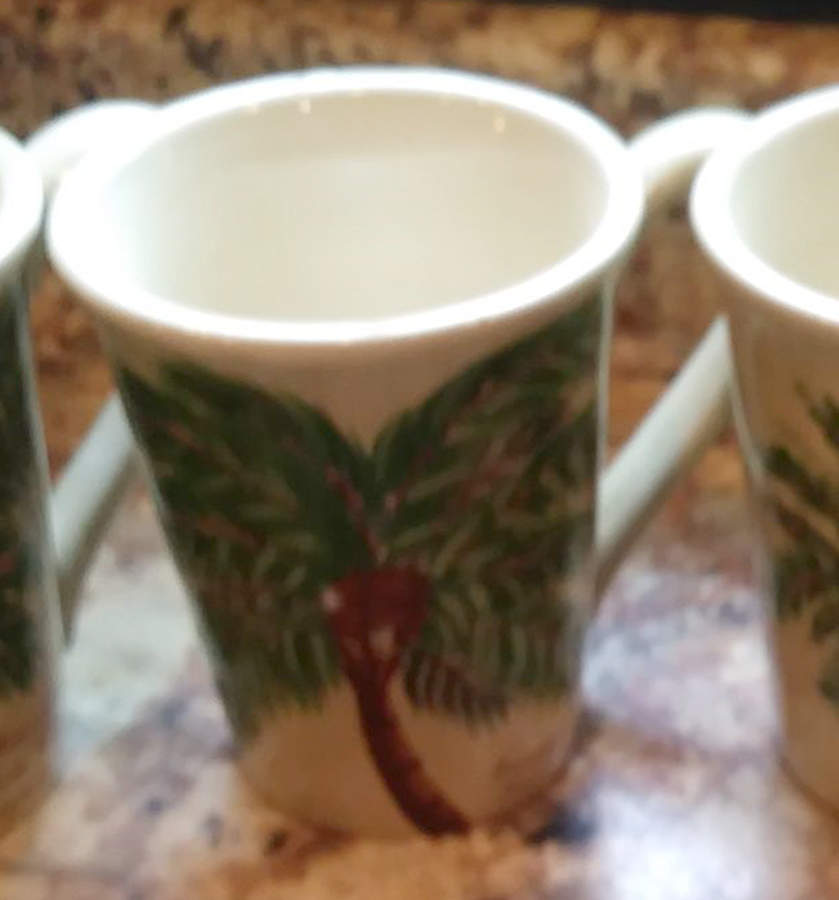 Palm Island Cream Mug by Florida Marketplace-1