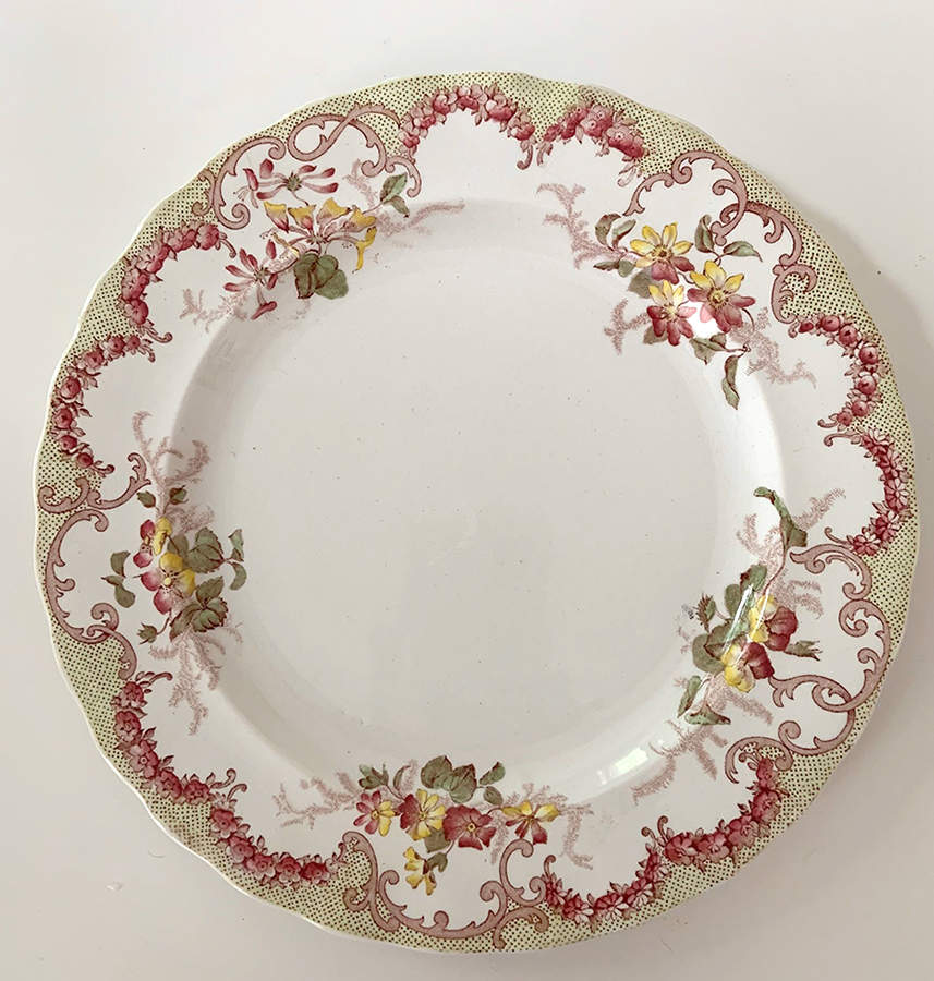 Versaille Multicolor Dinner Plate by Furnivals-1