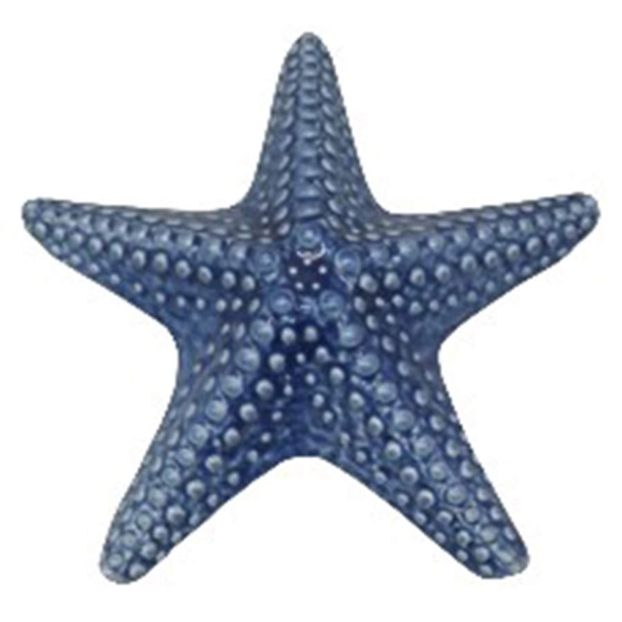 Coastal Home Starfish by Fitz and Floyd-1