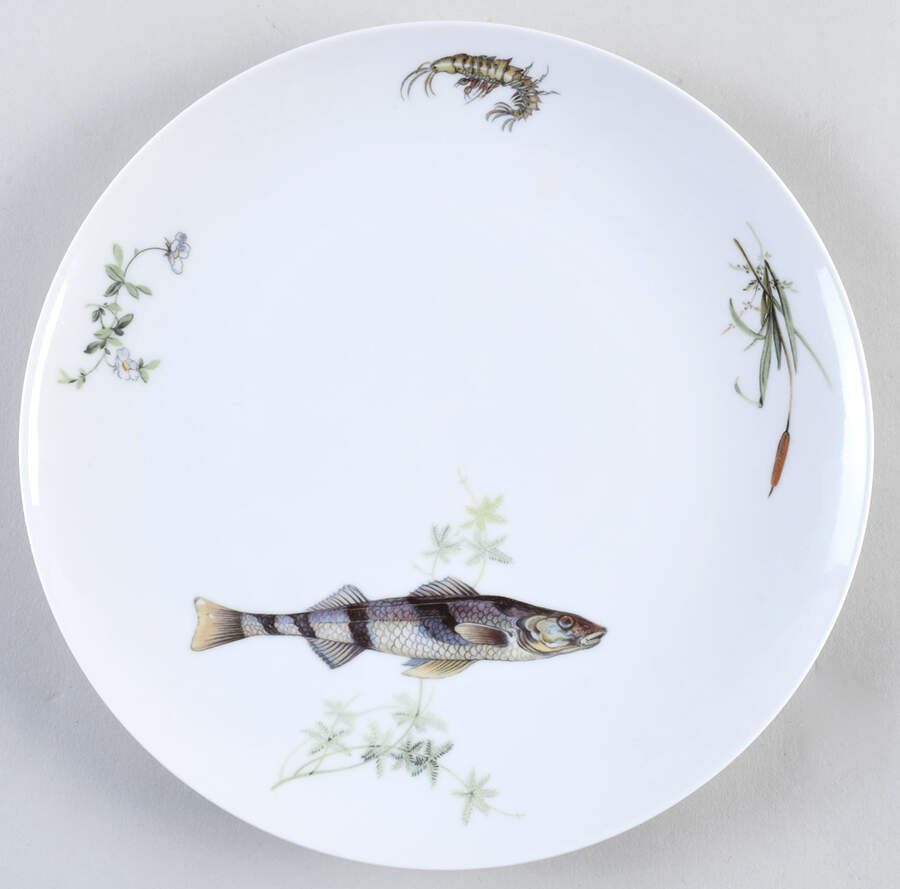 FR356 Dinner Plate by Franconia-Krautheim & Adelburg-1